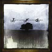 A THOUSAND FALLING SKIES "The Wilting" CD